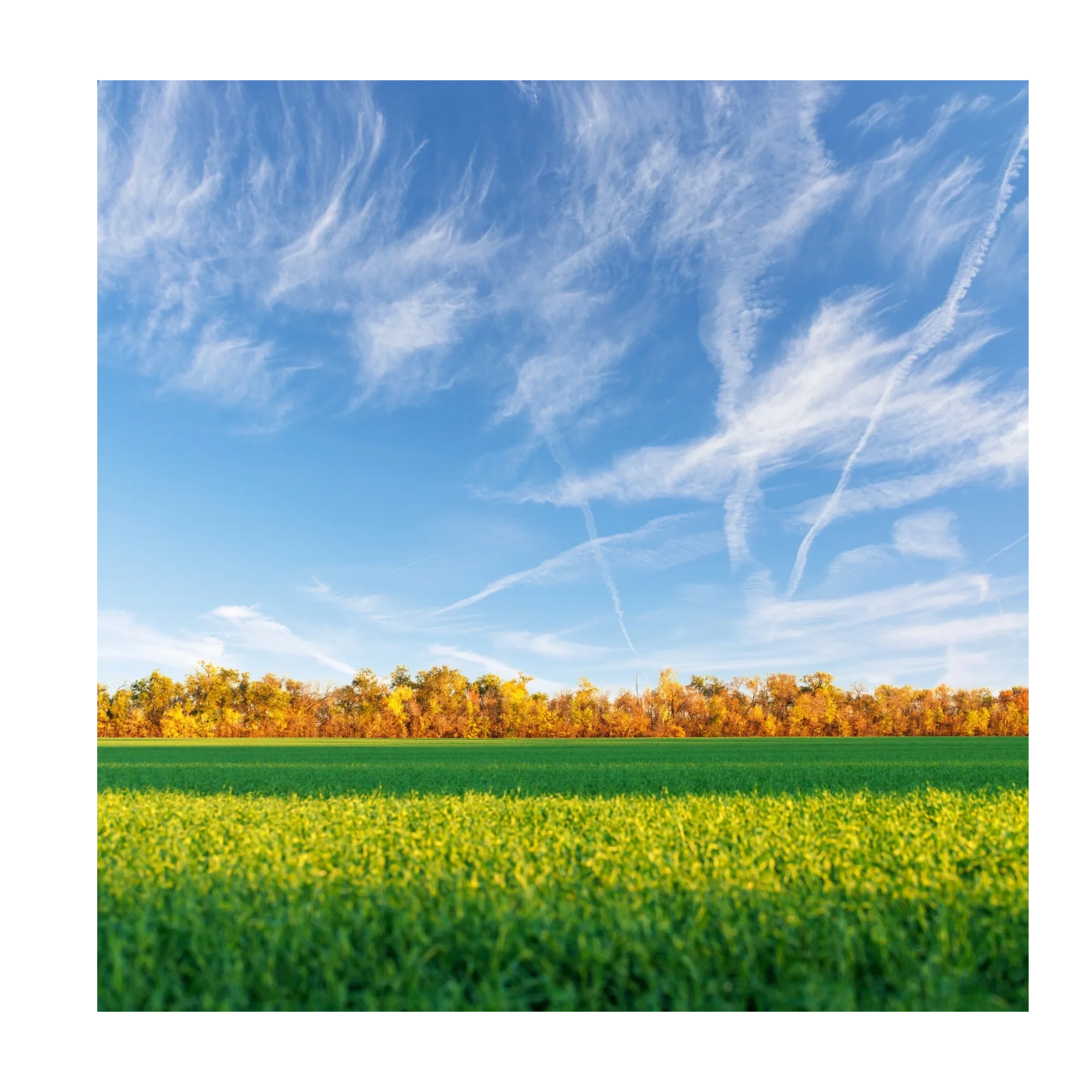 Agricultural landscape representing the industries we serve